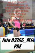 03766_M14-PRE