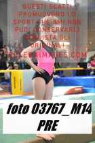 03767_M14-PRE