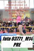 03771_M14-PRE