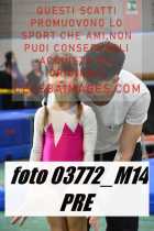 03772_M14-PRE