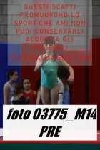 03775_M14-PRE