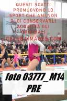 03777_M14-PRE