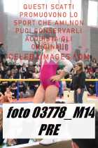 03778_M14-PRE