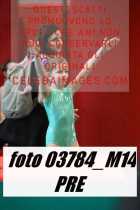 03784_M14-PRE