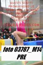 03787_M14-PRE