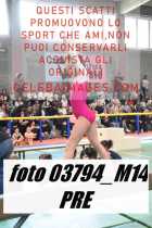 03794_M14-PRE