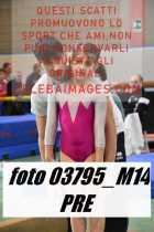 03795_M14-PRE