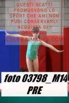 03798_M14-PRE