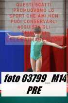 03799_M14-PRE