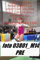 03801_M14-PRE