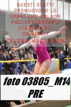 03805_M14-PRE