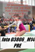 03806_M14-PRE