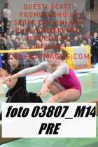 03807_M14-PRE