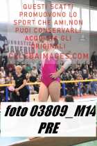 03809_M14-PRE