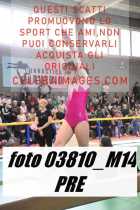 03810_M14-PRE