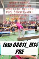 03811_M14-PRE