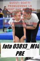 03813_M14-PRE
