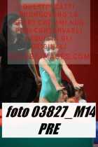 03827_M14-PRE