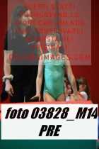 03828_M14-PRE