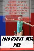 03831_M14-PRE