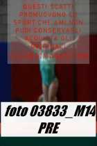 03833_M14-PRE