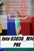 03836_M14-PRE