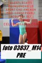 03837_M14-PRE
