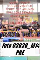 03838_M14-PRE