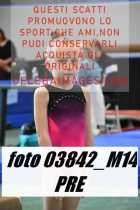 03842_M14-PRE