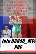 03848_M14-PRE