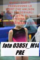 03851_M14-PRE