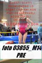 03855_M14-PRE