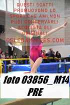 03856_M14-PRE