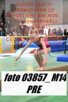 03857_M14-PRE