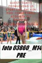 03860_M14-PRE