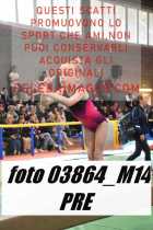 03864_M14-PRE