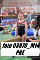 03870_M14-PRE