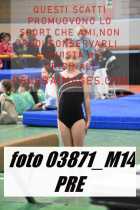 03871_M14-PRE