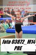 03872_M14-PRE