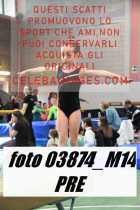 03874_M14-PRE