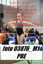 03876_M14-PRE