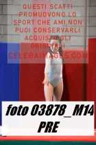 03878_M14-PRE