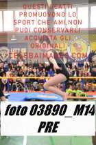 03890_M14-PRE