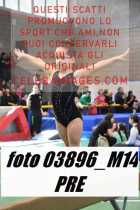 03896_M14-PRE