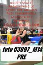 03897_M14-PRE