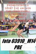 03910_M14-PRE