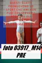 03917_M14-PRE