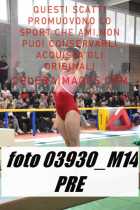 03930_M14-PRE