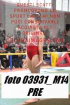 03931_M14-PRE