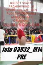 03932_M14-PRE
